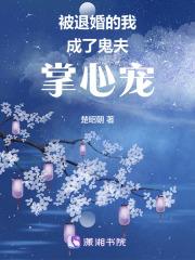 替嫁以后晋江文学城