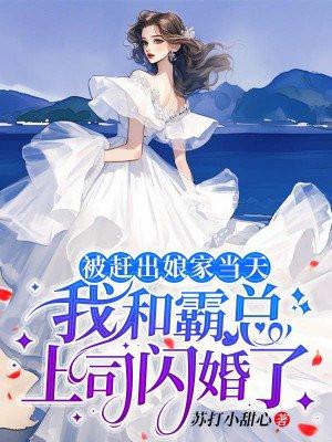 被赶出娘家当天我和霸总上司闪婚了苏打小甜心