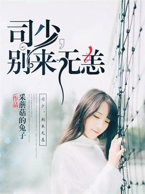 司少别来无恙全文免费