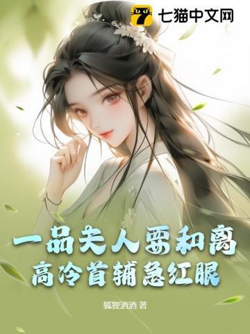 一品夫人成长