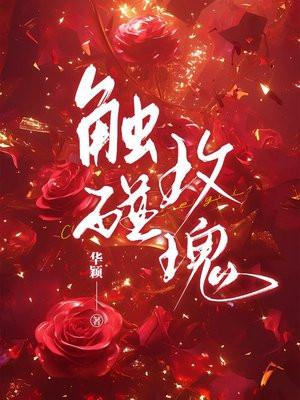 触碰玫瑰男女主圆房了吗