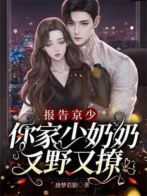 你家少奶奶又野又撩总结