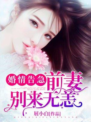 婚情难求前妻别来无恙