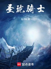 圣装龙骑