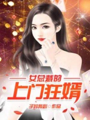 女总裁的上门狂婿叶凡柳亦如