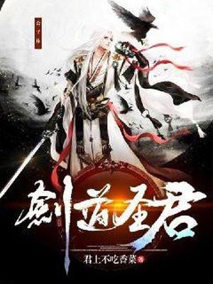 剑道圣君无删减