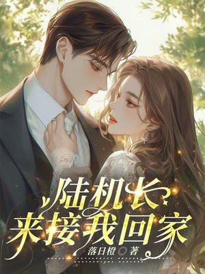 陆机长要结婚了在线阅读