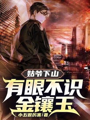 姑爷下山有眼不识金镶玉电子书TXT