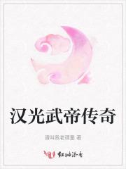 汉光武帝传奇电视剧全集在线观看