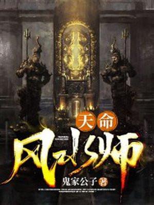 天命风水师道之光在线阅读