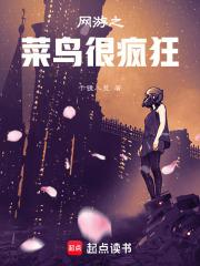 网游菜鸟也疯狂txt