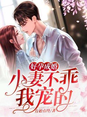 好孕成婚一苏黎