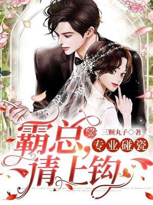 专业碰瓷什么意思