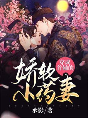 穿成首辅小妾