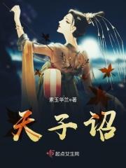 天子诏酒52度价格