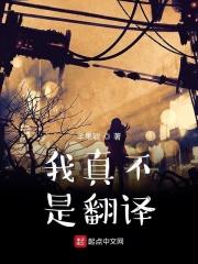 我真不是翻译 笔趣阁
