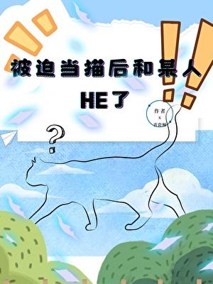 被迫营业的小猫咪