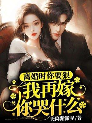 我再嫁你哭什么 最新章节 无弹窗