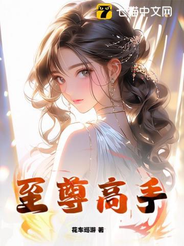 至尊高手叶锋免费阅读