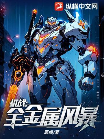 机战全金属风暴余秋水