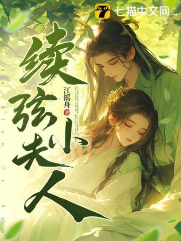 续弦小夫人结局是什么