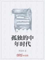 中年孤独是什么意思