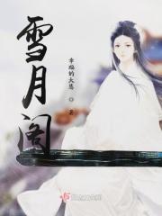 雪月阁官网登录