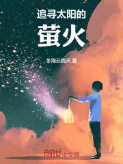 追逐太阳的心是什么画