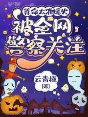 被全网警察关注了在线