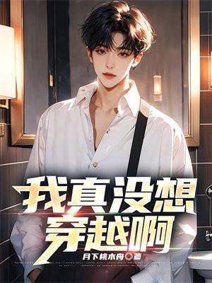 我真没想穿越啊讲的什么