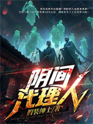 阴阳代理人无错