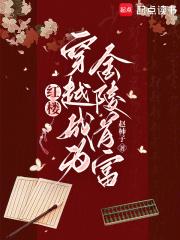 穿越红楼当亲王的