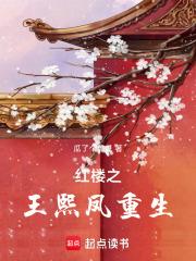 红楼王熙凤重生 寒小期