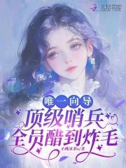 那种向导超级厉害的哨向文