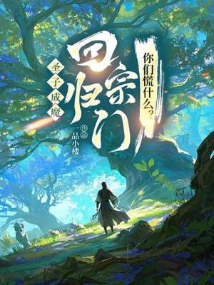 圣子降临是后传吗