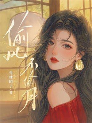 偷风不偷月晋江