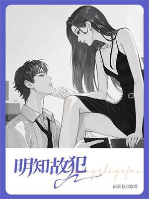 明知故犯许美静歌词含义