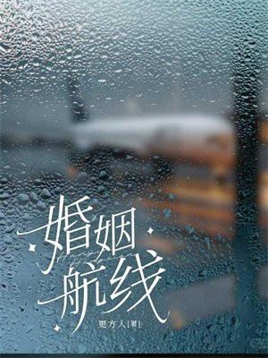 婚姻航线艾鱼笔趣阁