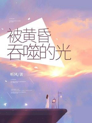 被黄昏追赶你是在遥远的海岸什么歌