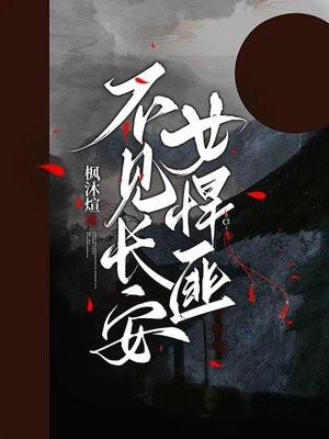 不见长安作品集