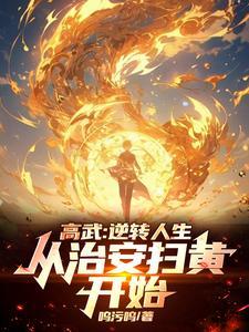 从治安扫黄开始呜污呜 / 著