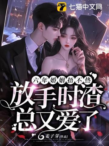 六年婚姻捂不热放手时渣总又爱了344