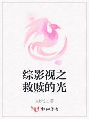 综影视之救火