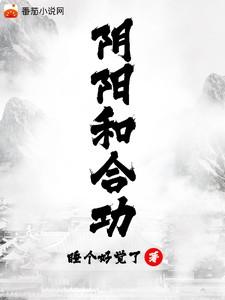 阴阳和合功叶凡