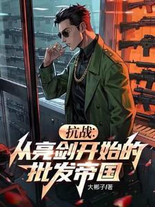 抗战从亮剑开始的批发帝国340章