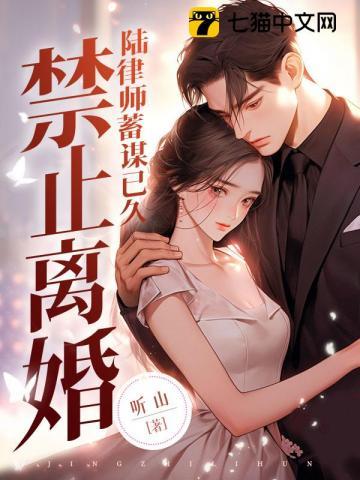 禁止离婚!陆律师蓄谋已久TXT