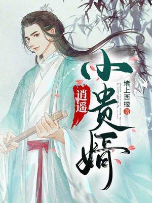 逍遥小贵婿动漫全集播放