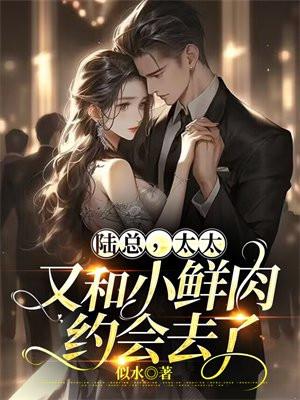 陆太太又在闹离婚免费阅读