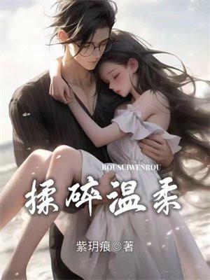 揉碎温柔薄妄全文txt