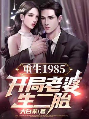 重生1985老婆生二胎的